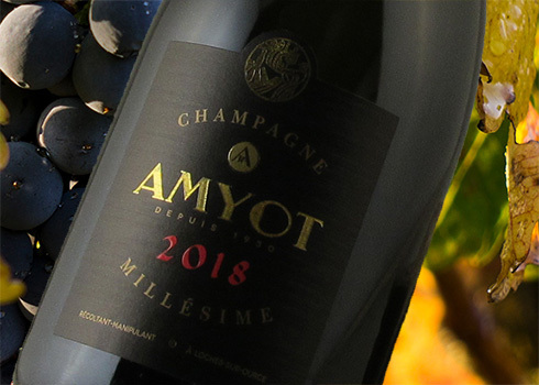 Champagner Amyot Cuvée Millésime 2018 Brut