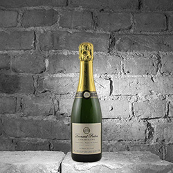 Champagner Bernard Pertois BdB Grand Cru Brut 0,375 L
