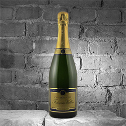 Champagner Francois Vallois BdB Premier Cru Brut
